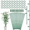 IHLOOTD Tutore per Piante 20 Pezzi Sostegno per Piante con 40 Moschettoni 10 Collegamento Tubis Plant Stand Bastone per Piantes Rampicanti Sostegni per Pomodori Orchidee