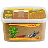 sera Gravel Ocher 0-2 mm 6.000 ml - Ghiaia Naturale Color ocra (Ø 0 - 2 mm) per Tutti Gli acquari d'Acqua Dolce e Marina