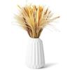 CAIXINYI 100 bouquet di erba di Pampas Decorative, erba di coda di coniglio e fiori di canna essiccati misti, adatti per composizioni nuziali, decorazioni da tavola, case in stile country e feste di Natale