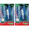 Germisem Pacific Giant Mix Semi di Larkspur 0.5 g (Confezione da 2)