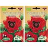 Germisem Biologico Papaver Glaucum Semi di Papavero 0.5 g (Confezione da 2)
