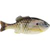 Berkley Powerbait Gilly Fishing Soft Bait, HD Sunfish, 130 mm