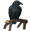 SUMMIT COLLECTION Summit YTC International, corvo nero su ramo d'albero, statuetta decorativa gotica da collezione