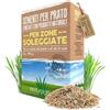 B4green organic attitude B4GREEN Semi Prato Resistenti (40m²) - Festuca Arundinacea per Zone Soleggiate - Prato Resistente a Sole e Siccità, Fitto e Verde Scuro - Crescita Affidabile e Duratura - Copertura Fino a 40m² 1kg
