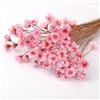 RUGBOL 100 Rami di Fiori a Stella Piccoli, Fiori a Stella Brasiliani Rosa per Decorazioni Floreali Fai da Te, Resina, Scrapbooking, Creazione di Gioielli