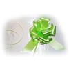 Star Rover Star 2608 35108-Cinta, 1,9 cm, Verde, 145 x 5 x 4 cm