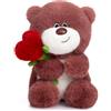 BEJOY Orsacchiotto di peluche con cuore rosa, peluche per San Valentino, orsetto di peluche, regalo per fidanzata, bambini, compleanno, San Valentino (rosso rosa, 28 cm)
