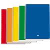 Dohe - Quaderni A4+ (5 Pz.) - 5 Colori Assortiti, 80 Fogli Quadrettati 4x4 Mm, Spirale, Copertina Morbida in Cartoncino, Materiale per Ufficio