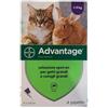 ELANCO ITALIA SpA Advantage*4pip 0,8ml Spoton