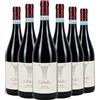 Ca' Viola Langhe DOC Nebbiolo Rangone 2024 Box da 6 bottiglie