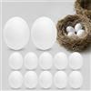 BESTonZON Uova di uccelli artificiali 12 pezzi in plastica stabile realistica Simulazione Uova Da Cova Per Pappagalli E Inseparabile Ambiente Nido Naturale Accessori Uccelli