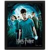 PYRAMID POSTER 3D LENT HARRY POTTER FENICE - GADGET