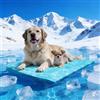 Pawtasy Tappetino Refrigerante per Cani e Gatti Tappeto Rinfrescante in Gel Non Tossico Materassino Raffreddamento per Animali Perfetto per Cani e Gatti in Estate XXL 120 x 80 cm