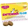 STEVE JONES ENTERINA FLOR 20CPR