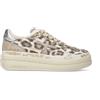 PREMIATA SNEAKERS MICOL 7444 - MICOL 7444 - beige
