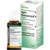 GUNA SpA Apis-Homaccord Gocce 30ml - Medicinale Omeopatico per il Benessere Naturale