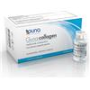 GUNA SpA Guna-Collagen 10 Flaconcini da 2ml - Medicinale Omeopatico, Trattamento Naturale, Benessere Articolare