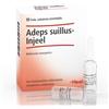 GUNA SpA Adeps Suillus-Injell - 10 Fiale Integratore per il Benessere del Fegato