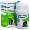 VETOQUINOL ZYLKENE PLUS MANGIME COMPLEMENTARE CANI ANTISTRESS ANSIA 30 CAPSULE