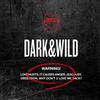 BTS [DARK & WILD] 1° Album CD-R+Photobook+2 Photo Card+REGALO SIGILLATO UFFIC...