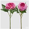 EDG Enzo De Gasperi Peonia Ramo con Foglie Ass. H 58 Cm Pianta Artificiale Rosa Antico 1 Pz