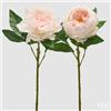 EDG Enzo De Gasperi Peonia Ramo con Foglie Ass. H 58 Cm Pianta Artificiale Rosa 1 Pz