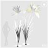 EDG Enzo De Gasperi Decoro Iris Jumbo Led 12V 300W H 280 cm L 160 Cm H 250 Cm L 140 Cm Natural