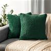PAVILIA Set di 2 federe decorative per cuscini soffici color verde smeraldo, per letto, divano, in morbida pelliccia sintetica, federe quadrate Sherpa, decorazione per la casa, verde, 20 x 20 cm