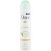 Dove 12 x Go Fresh anti traspirante cetriolo tè verde deodorante spray 150 ml
