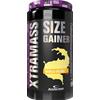 Anderson Research Xtramass - Vanilla delight , 1100 g