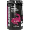 Anderson Research Xamin 312 g - Red fruits
