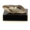 A Bijoux Pietre E Minerali. Gesso. 42.2 Ct. Sinard, Isère, Rhône-Alpes, Francia.