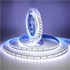 Tesfish Striscia LED, 24V Bianco 6000K Strisce 5M 5054 IP20 120 LEDs/M, Totale 600 LEDs Nastri Super Luminosa Luci Striscia per Camera da letto, Scaffali, decorazione Cucina
