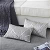 Gigizaza Set di 2 federe per cuscino in velluto per divano, letto, decorazione per la casa, velluto, grigio, 12 x 20 pollici
