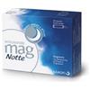 Sanofi Mag Notte 24 Buste Agrumi