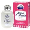 Amidomio EuPhidra AmidoMio Acqua di Colonia 100 ml