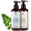 RedMoringa Kit Shampoo Seboregolatore Capelli Grassi 250ml + Balsamo Rigenerante 200ml - 99% Naturale, Senza SLS Siliconi e Parabeni - Con Moringa Bio, Argan, Cocco e Miele - Purifica Cute Grassa - RedMoringa