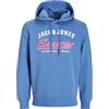 JACK & JONES Jjelogo Felpa con Cappuccio 2 col 25/26 Noos Pls - Plus Size
