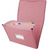Grafoplás Grafoplas - Cartella a soffietto, formato a foglio, colore rosa, 13 posizioni, poli semi-rigido opaco, con etichetta per visori, perfetto classificatore documenti scolastici e ufficio