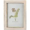 Wuuooei Cornici da Parete e da Tavolo, 1 Pcs Cornice per Foto in Legno, Portafoto Shabby Chic 6x4, Cornice Foto con Staffa, Portafoto in Legno Vintage per Decorazione da Tavolo per Ufficio e Caffetteria