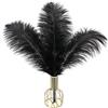 DCRWVCTON 20 pezzi Piume di Struzzo Naturali Artigianali 10-12 Pollici (25-30 cm) Piume per Centrotavola di Matrimonio Decorazione della Casa, Cucito, Artigianato, Costumi, Festa a Tema, Decorazione di Natale