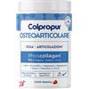 PROTEIN SA COLPROPUR POSH COLLAGENE OSTEOARTICOLARE FRAGOLA COLPROPUR 340 G