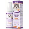 Eagou Diary Spray Calmante per Gatti con Feromoni, Feromoni Facciali Felini per Gatti, Stress, Aggressione, Marcatura con Urina, Litigi, Graffi, Trasloco, Viaggi, Feromoni per Gatti, Spruzzalo sul gatto