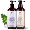 RedMoringa Kit Shampoo Antigiallo BIO 250ml + Balsamo Rigenerante 200ml - Shampoo Naturale per Capelli Gialli, Bianchi e Decolorati - Senza SLS Siliconi e Parabeni - Con Moringa, Camomilla e Argan - RedMoringa