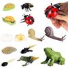 Jonuin Set 13 Figurine Ciclo di Vita Animali, Coccinella, Lumaca & Rana, Giocattoli Educativi Montessori per Bambini 3+, Kit Didattico per Progetti Scientifici e Scolastici