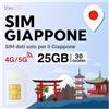 travSIM SIM Giappone con validità di 30 giorni | 15 GB a velocità 5G/4G | SIM per il Giappone per restare sempre connessi | Assistenza 24 ore su 24, 7 giorni su 7