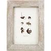 Wuuooei Cornici da Parete e da Tavolo, 1 Pcs Cornice per Foto in Legno, Portafoto Shabby Chic 6x4, Cornice Foto con Staffa, Portafoto in Legno Vintage per Decorazione da Tavolo per Ufficio e Caffetteria