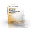 Heel Glyoxal Compositum 10 Fiale Da 2,2 Ml