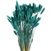 QUARKZMAN 120pz Coda di Coniglio Naturale Fiori Secchi 43cm Mini Erba di Pampa per Decorazioni Floreali Matrimonio Natale, Azzurro Chiaro