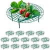 Relaxdays Set da 15 Anelli di Supporto per Fragole, Sostegno in Plastica per Piante da Orto, Rete Antimuffa, Verde